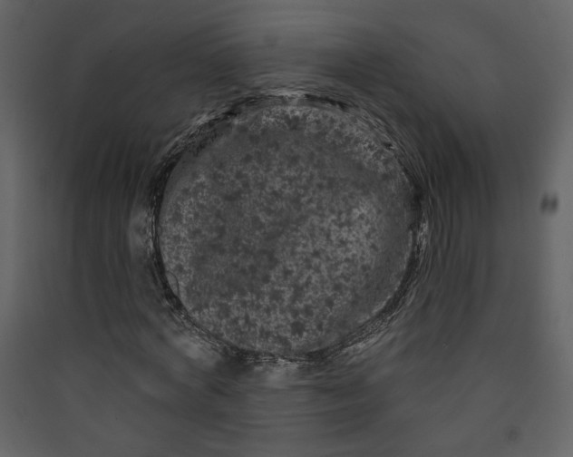 X0000089910772200707131348