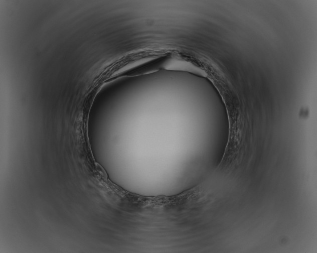 X0000089910773200707131348