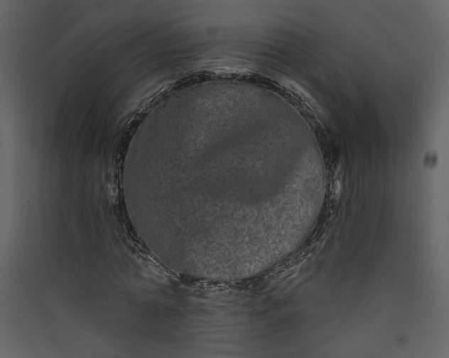X0000089910774200707131348