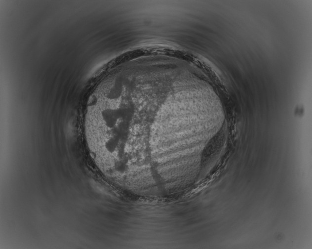 X0000089910775200707131348