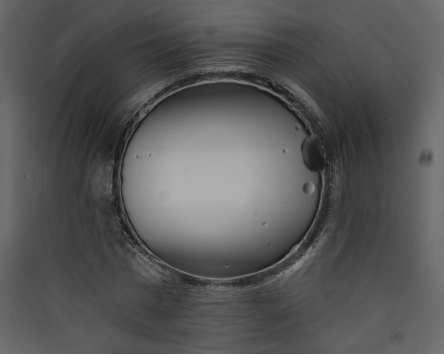 X0000089910777200707131348
