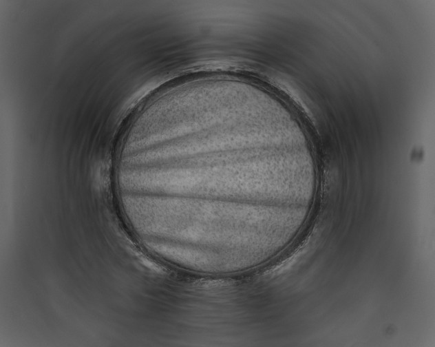X0000089910778200707131348