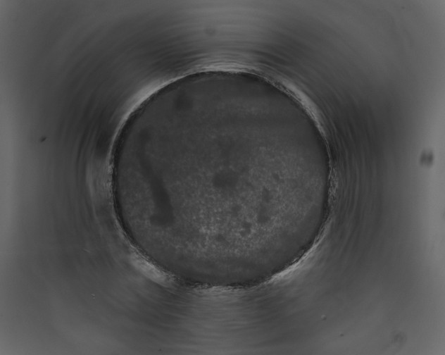 X0000089910779200707131348
