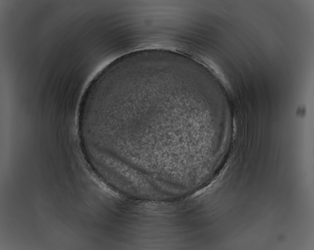 X0000089910780200707131348