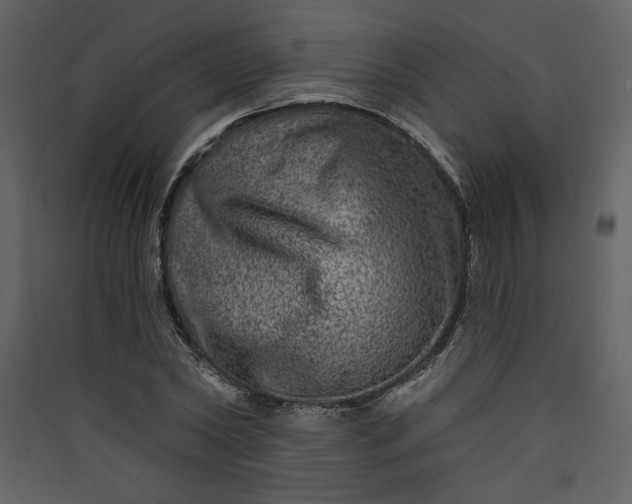 X0000089910782200707131348