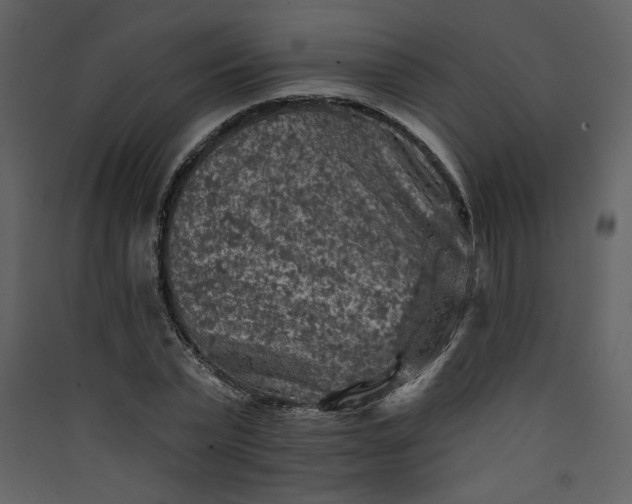 X0000089910783200707131348