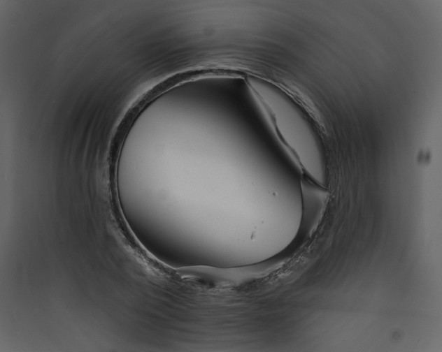 X0000089910784200707131348