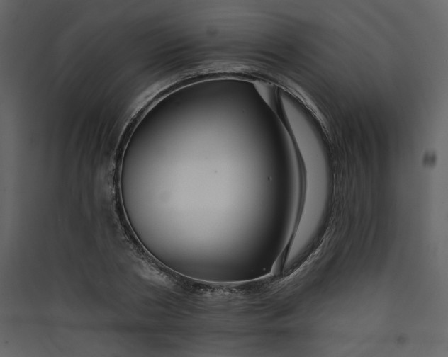 X0000089910786200707131348