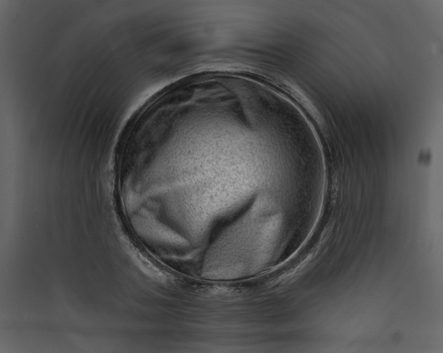 X0000089910787200707131348