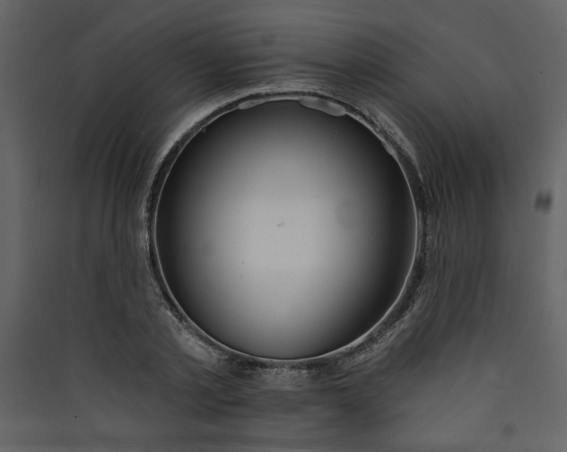 X0000089910789200707131348
