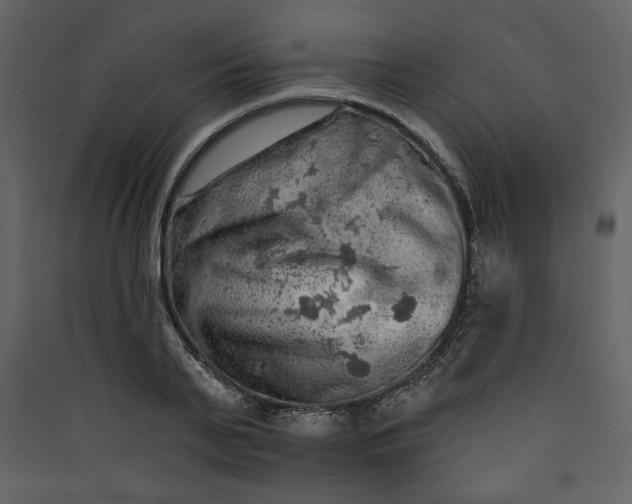 X0000089910791200707131348