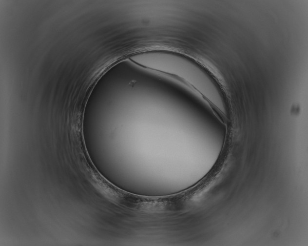 X0000089910793200707131348