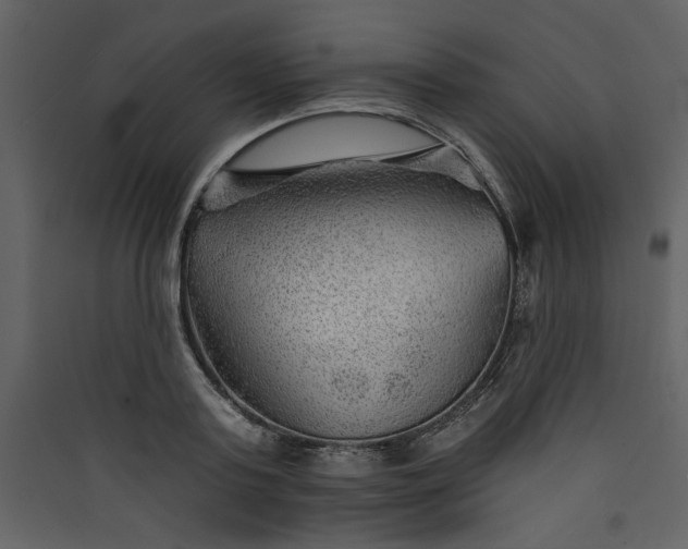 X0000089910795200707131348