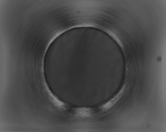 X0000089910797200707131348