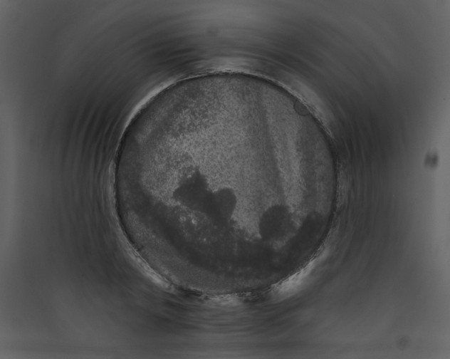 X0000089910798200707131348