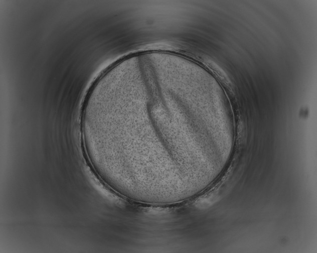 X0000089910800200707131348