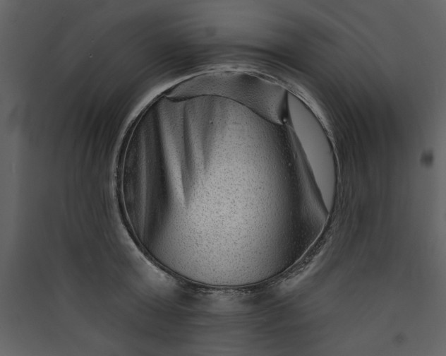 X0000089910803200707131348