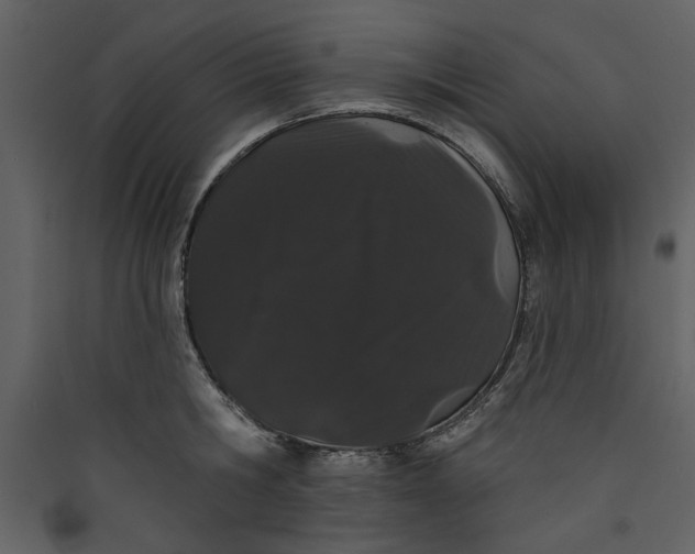 X0000089910806200707131348