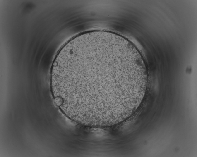 X0000089910807200707131348