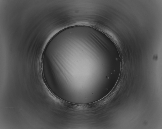X0000089910808200707131348