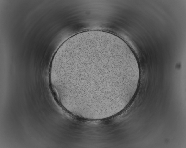X0000089910810200707131348
