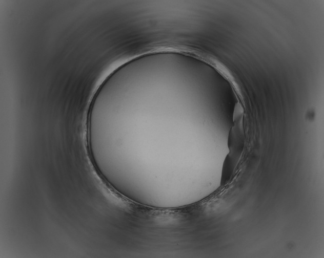 X0000089910811200707131348