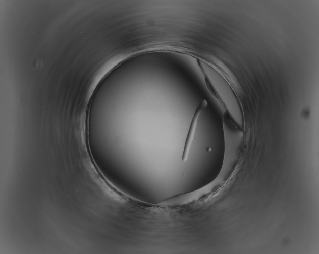 X0000089910812200707131348