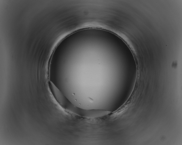 X0000089910815200707131348