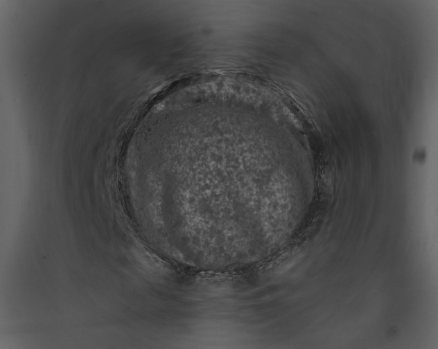 X0000089910817200707131347