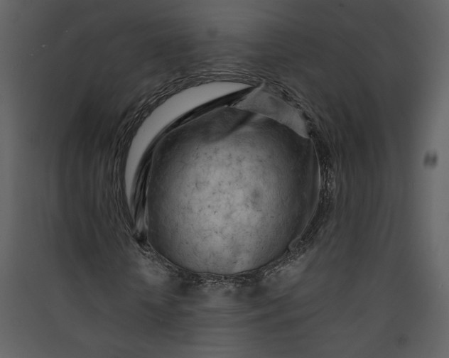 X0000089910818200707131347