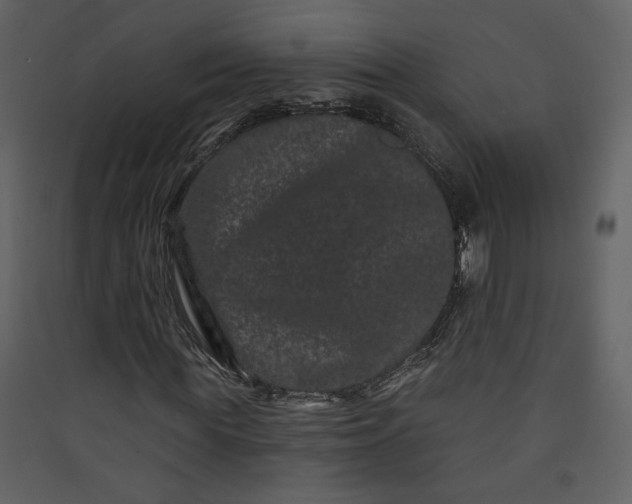 X0000089910819200707131347