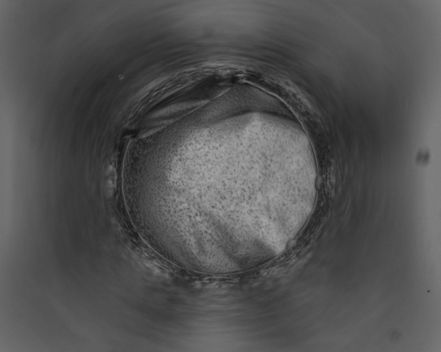X0000089910821200707131347