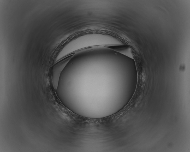 X0000089910822200707131347