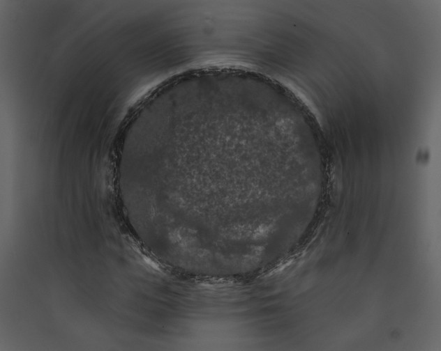 X0000089910823200707131347