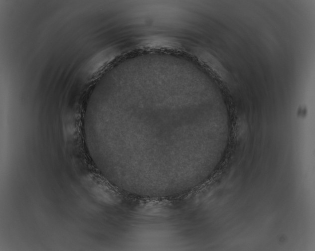 X0000089910824200707131347