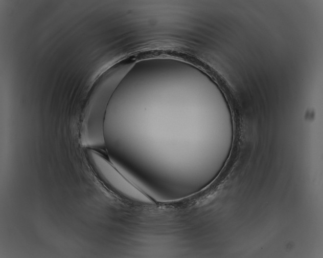 X0000089910826200707131347