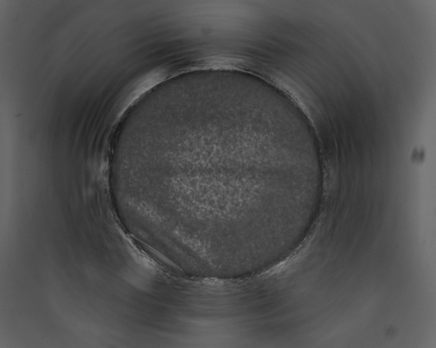 X0000089910827200707131347