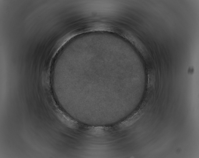 X0000089910828200707131347