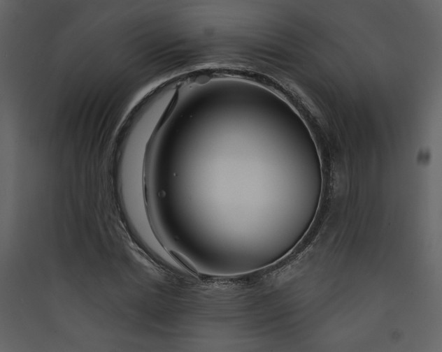 X0000089910830200707131347