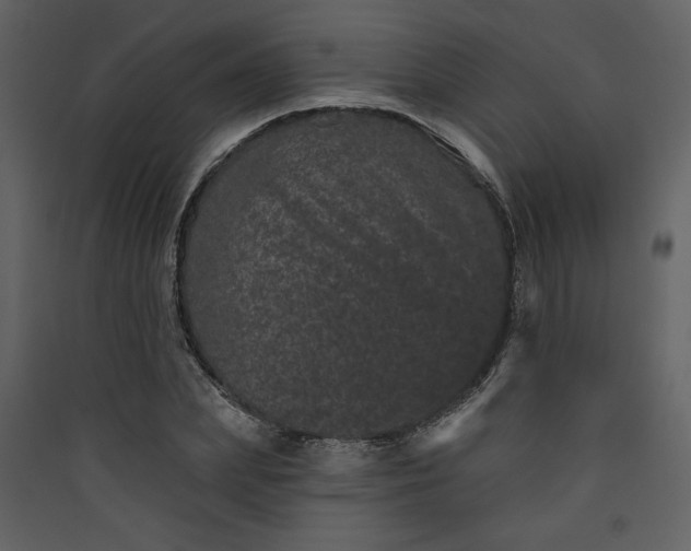 X0000089910831200707131347