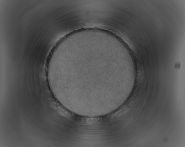 X0000089910832200707131347