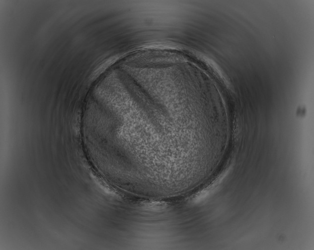 X0000089910833200707131347