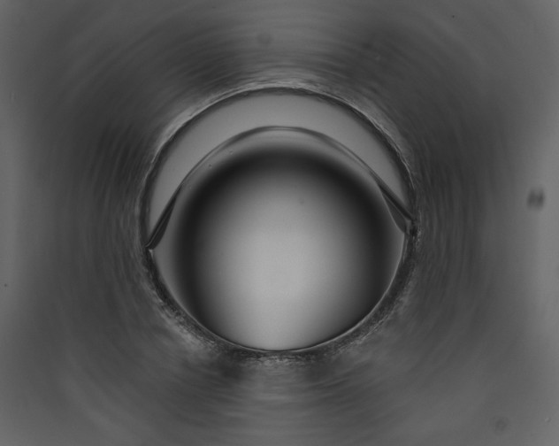 X0000089910834200707131347