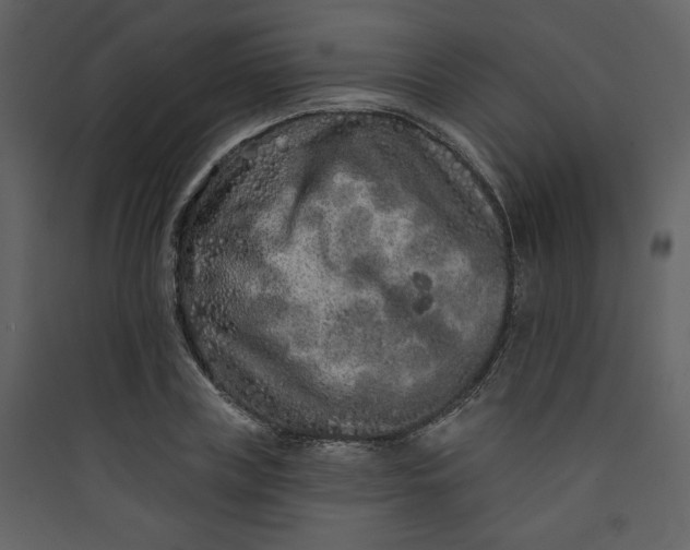 X0000089910835200707131347
