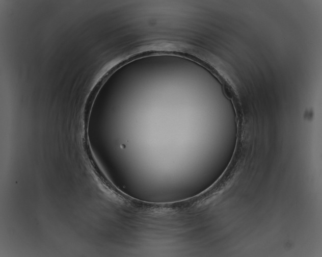 X0000089910837200707131347