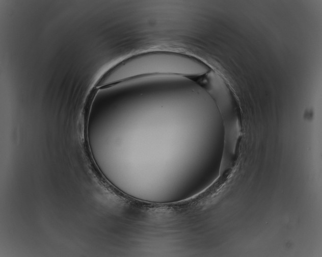 X0000089910838200707131347