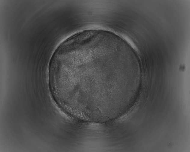 X0000089910839200707131347