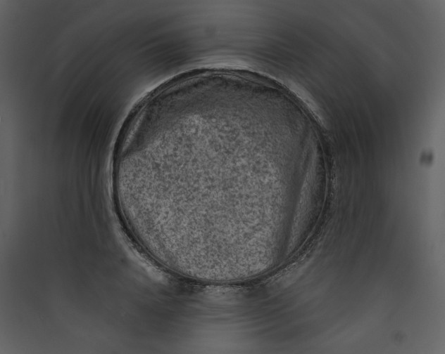 X0000089910840200707131347