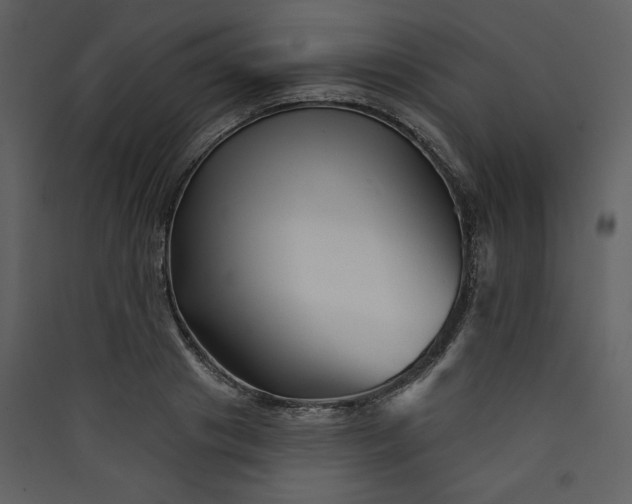 X0000089910841200707131347