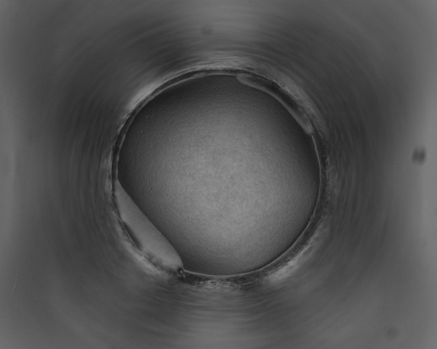 X0000089910842200707131347